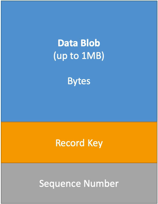 AWS Kinesis stream record format